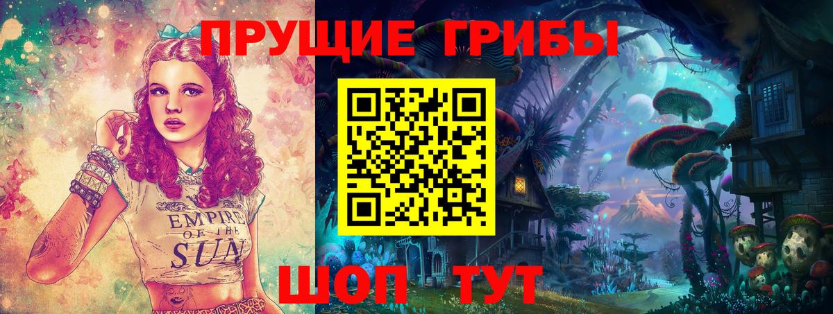 Чита  Галлюциногенные грибы прущие грибы  купить наркоту  Вход с VPN 